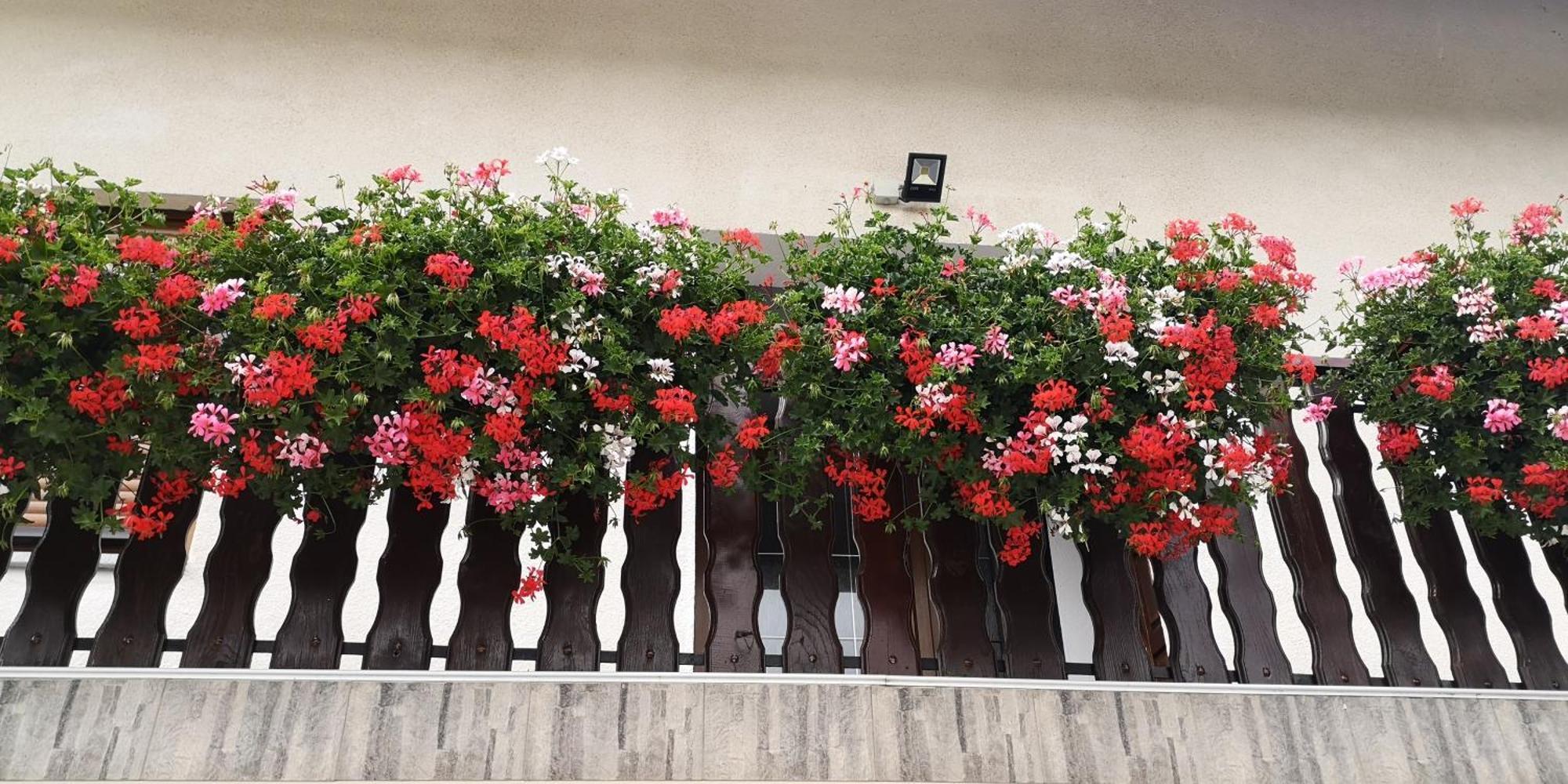 Hotel Plitvice House Milan Jezerce Exterior foto